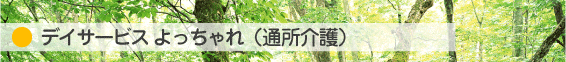 デーサービスよちゃn